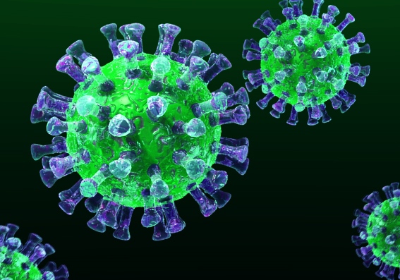 天然萃取-維他命C-新型冠狀病毒-武漢肺炎-預防-增加-調節-免疫力-抵抗力